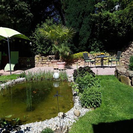 Ferienwohnung Trommblick - Natur Pur - Rimbach Im Odenwald Exterior foto