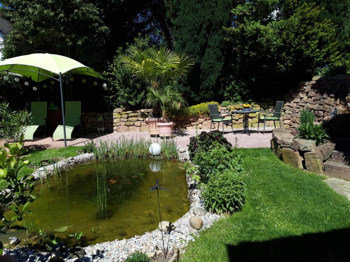 Ferienwohnung Trommblick - Natur Pur - Rimbach Im Odenwald Exterior foto